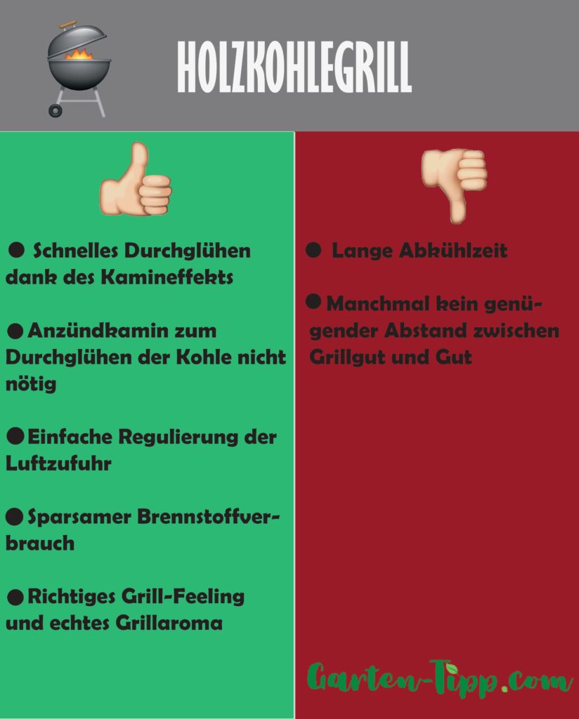 Infografik Holzkohlegrill