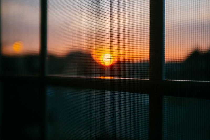 Abendsonne scheint durch ein Fenster mit Fliegengitter