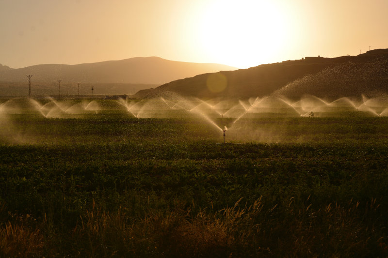 Bewässerungscomputer steuert Bewässerung in der Landwirtschaft