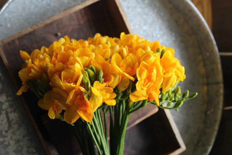 Ein wunderschöner Blumenstrauß aus gelben Freesien