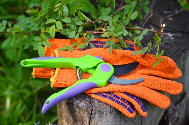 Grüne Gartenschere auf orangenen Handschuhen auf einem Zaunpfahl im Garten
