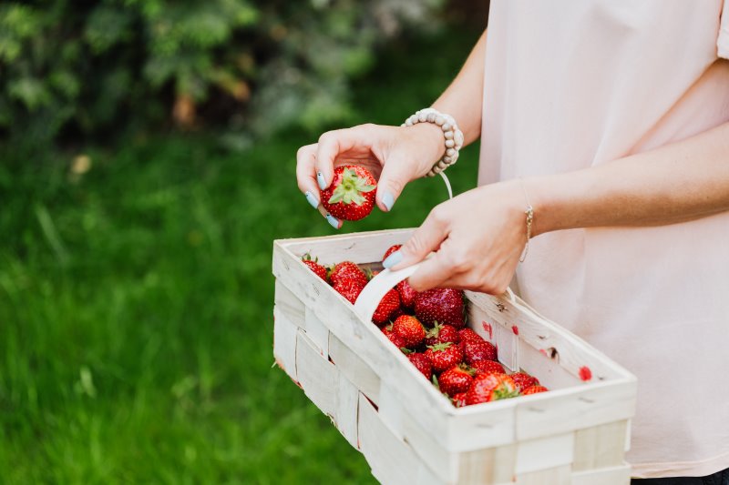 Erntekorb mit Erdbeeren