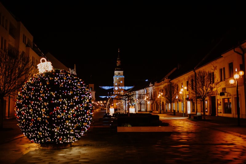 Ein Buchsbaum ist weihnachtlich beschmückt und mit einem schönen Lichternetz dekoriert.